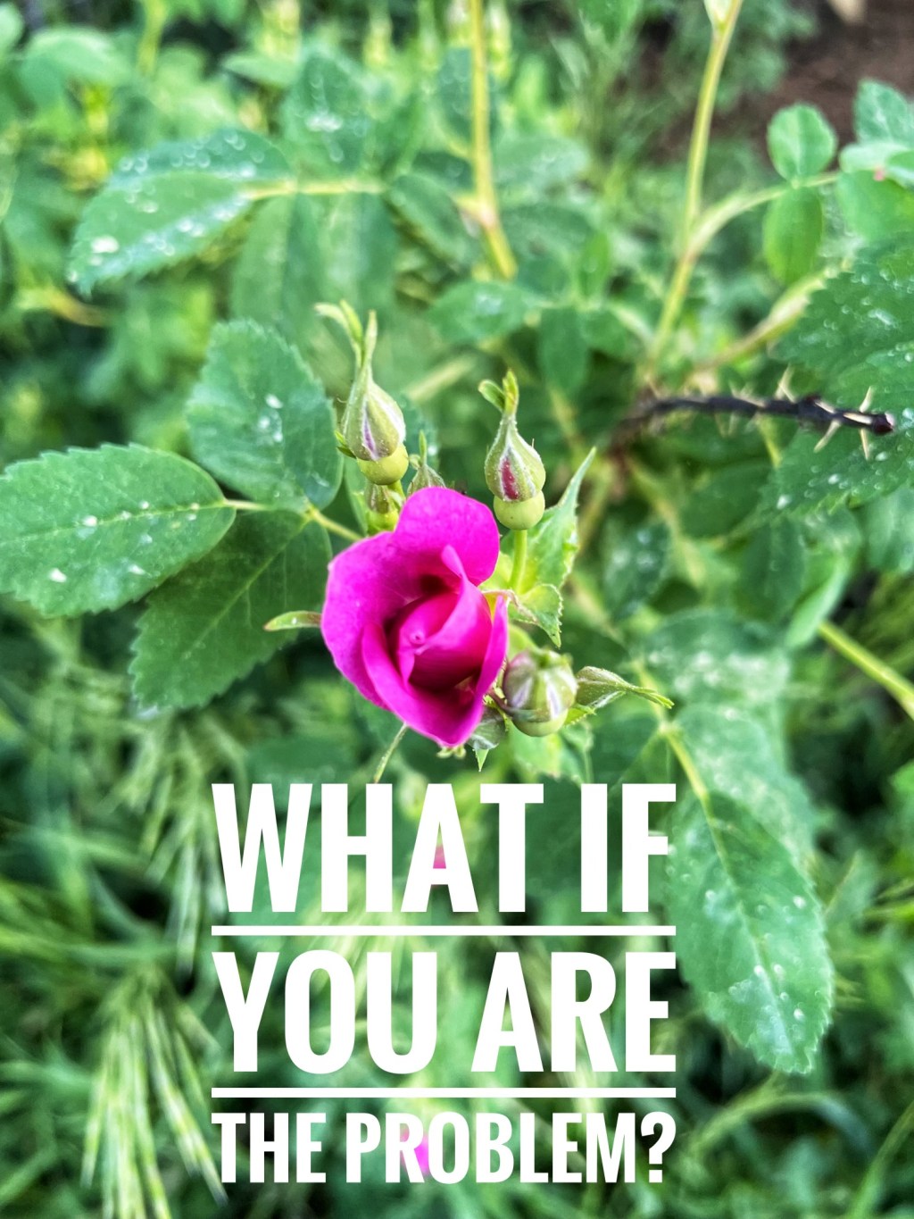 Accountability of Self