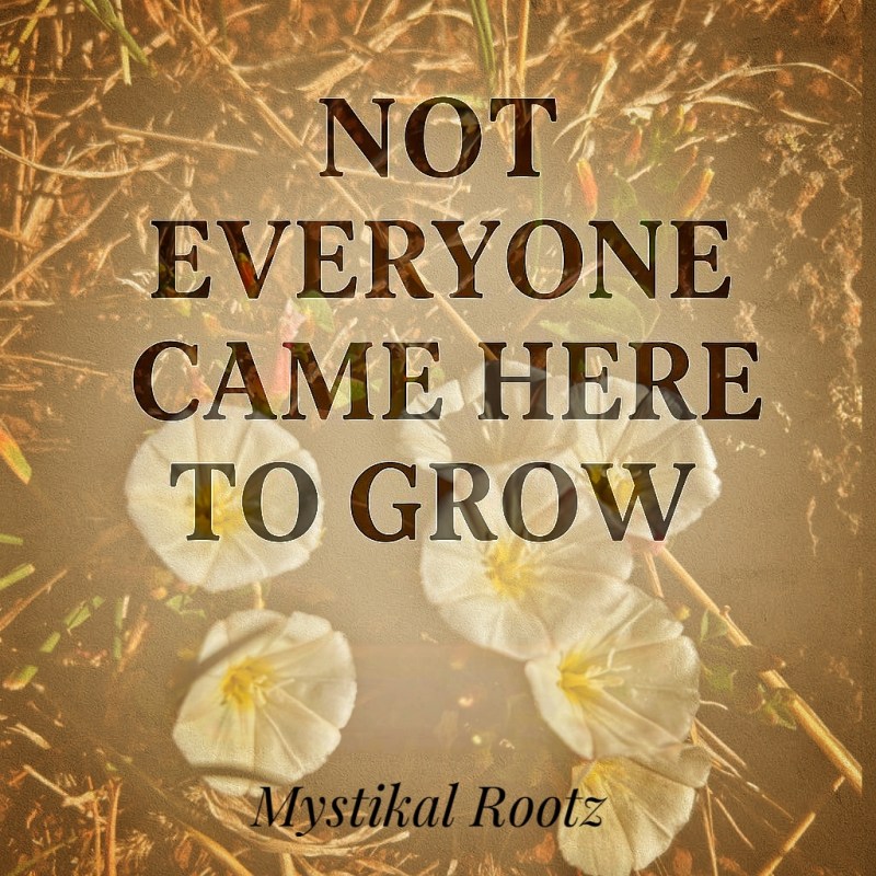 Not Everyone Came Here To&nbsp;Grow